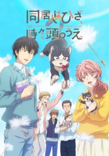 Doukyonin wa Hiza, Tokidoki, Atama no Ue. Episodio 12 online