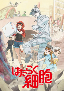 Hataraku Saibou!! Episodio 6 online