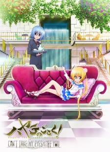 Hayate no Gotoku! Can't Take My Eyes Off You online