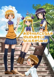 Oniichan no Koto nanka Zenzen Suki ja Nai n da kara ne!! Episodio 8 online